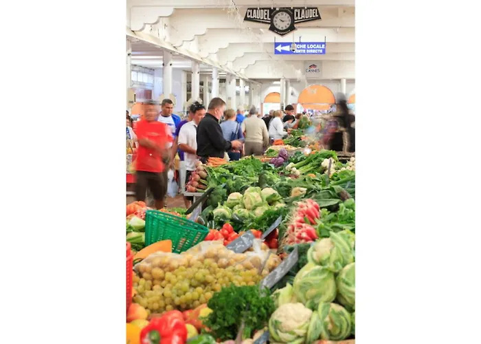 Cg Armenonville White *